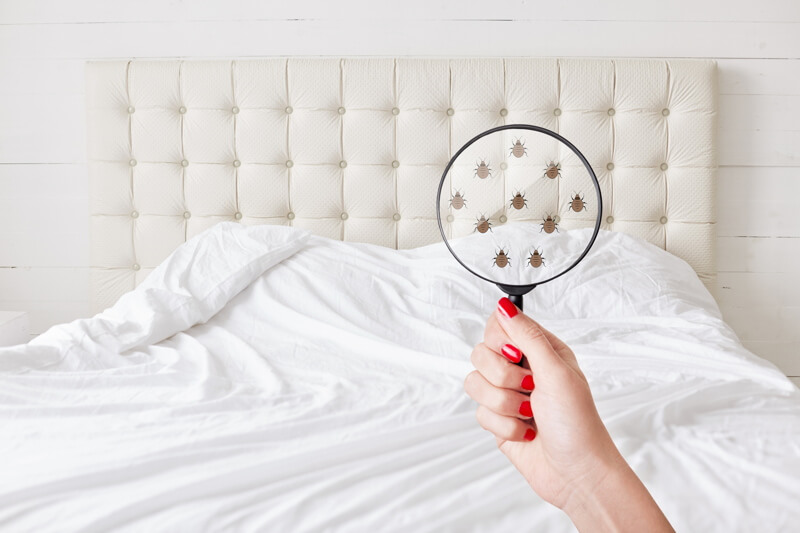 iStock-1030358908