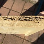 Termite Control in Eatontown, New Jersey