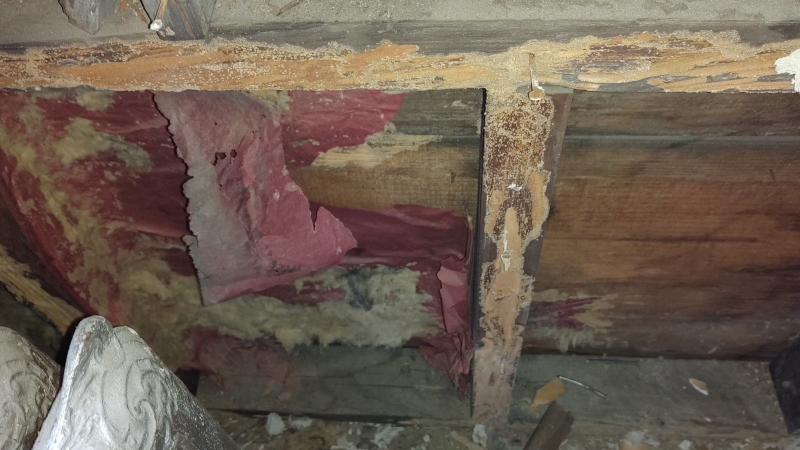 Termite Damage in Eatontown, New Jersey
